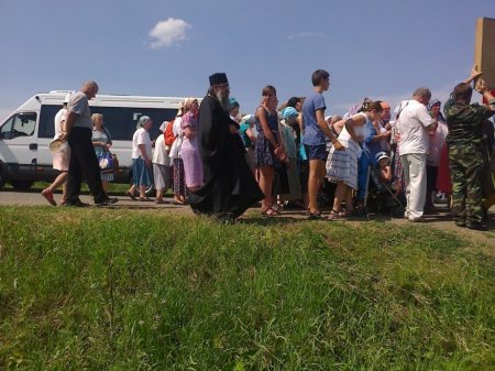 Новости с библиотечных полей