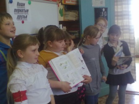 Наши пернатые друзья