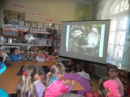 Удивительный мир флоры и фауны Красноярского края