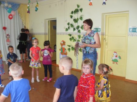 Путешествуем в лес