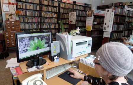 Выходи в Интернет!