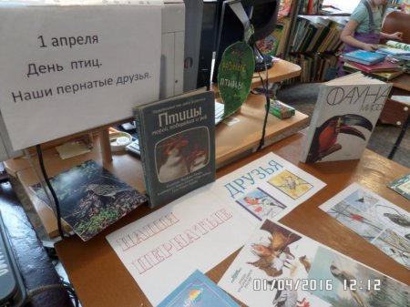 Наши пернатые друзья
