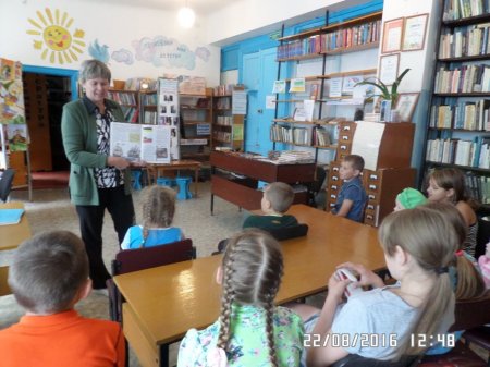 Наши славные  символы