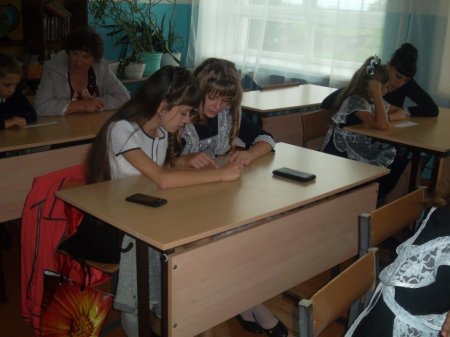 Вот и лето пролетело, год учебный впереди!