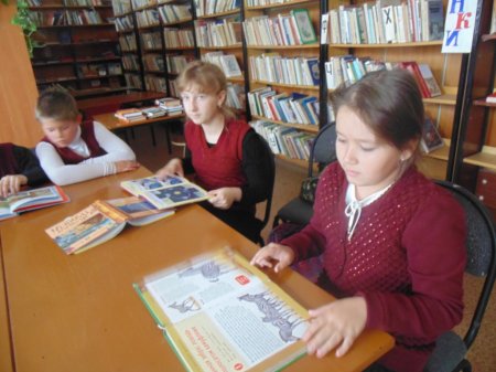 Эти забавные животные