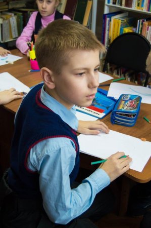 Удивительный мир китов и дельфинов