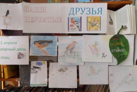 Здравствуй, птичья страна!