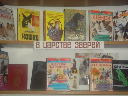 В МИРЕ ЖИВОТНЫХ