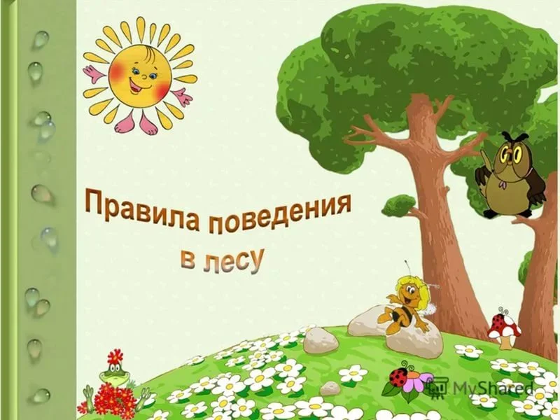 Летом в лесу