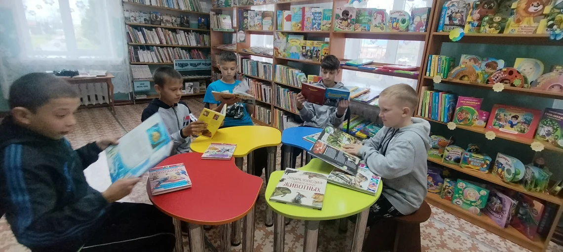 Мы в ответе за тех, кого приручили